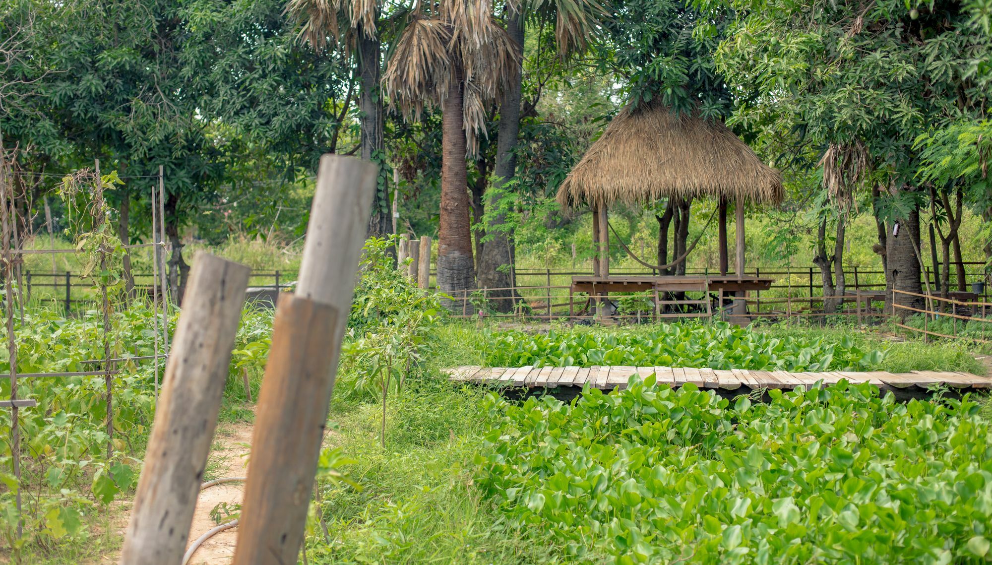 Isann Lodge Siem Reap Exterior photo